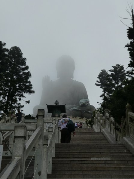 P1000778